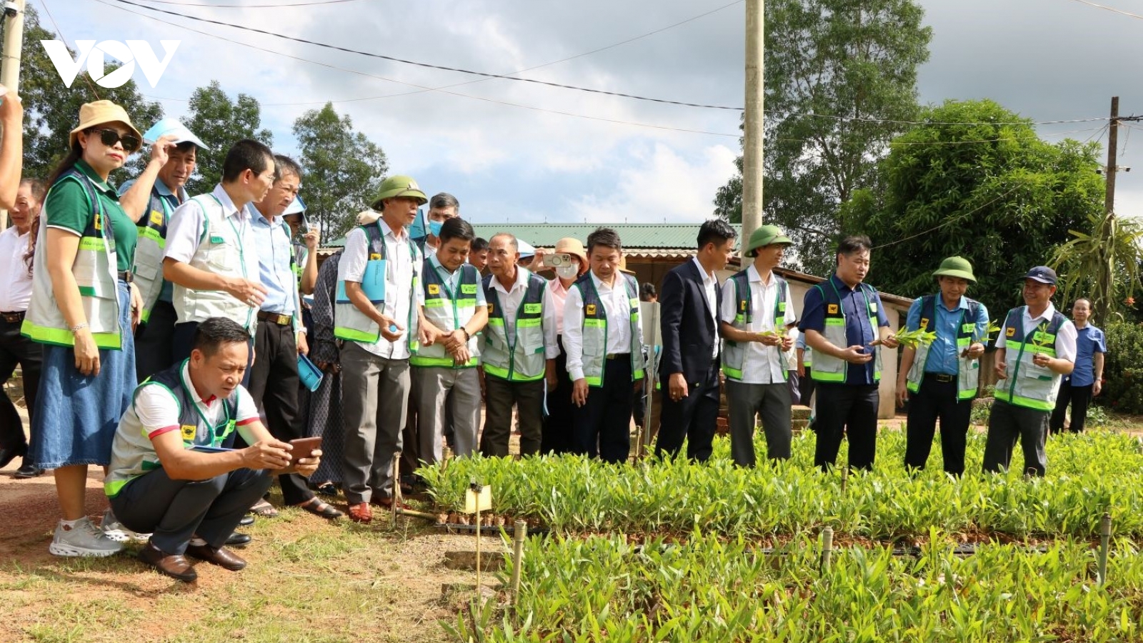 Khuyến nông cộng đồng chung tay phát triển vùng nguyên liệu gỗ lớn bền vững